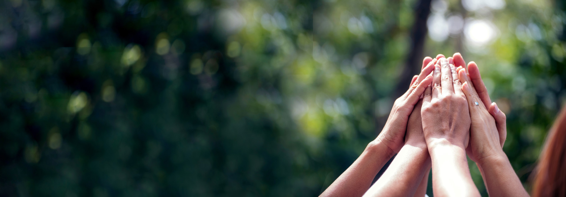 Shutterstock 2120695241