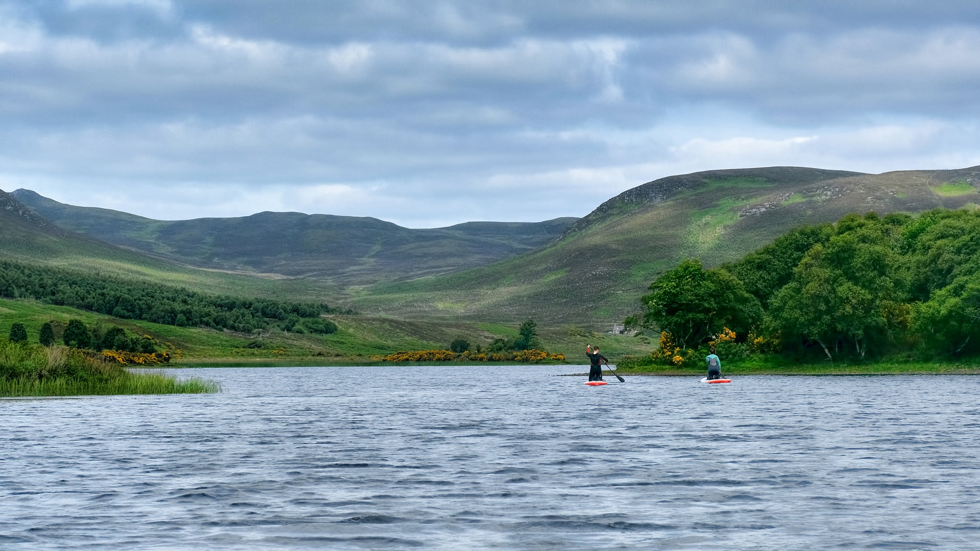 Shutterstock 2034893792